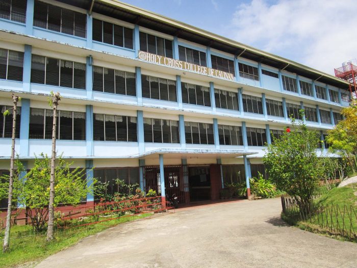 Holy Cross College Of Calinan Hccc History